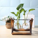 DecorBites™ Modern Wooden Frame Glass Vase Terrarium