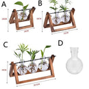 DecorBites™ Modern Wooden Frame Glass Vase Terrarium