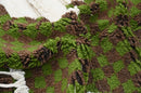 Traditional moroccan handmade cream & green azilal rug bedroom decor