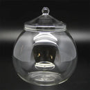 DecorBites™ Moss Ball Glass Vase for Desktop Decor