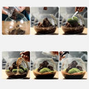 DecorBites™ Moss Ball Glass Vase for Desktop Decor