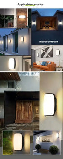 Black Frosted Glass Outdoor Light