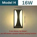 Black Frosted Glass Outdoor Light