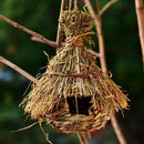 DecorBites™ Natural Grass Bird Cage for Outdoor Decor