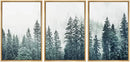 DecorBites™ Nature Landscape Canvas Print Set for Home