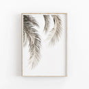 DecorBites™ Nordic Botanical Poster Canvas Art - Eucalyptus Palm