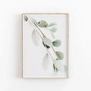 DecorBites™ Nordic Botanical Poster Canvas Art - Eucalyptus Palm