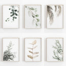 DecorBites™ Nordic Botanical Poster Canvas Art - Eucalyptus Palm