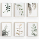 DecorBites™ Nordic Botanical Poster Canvas Art - Eucalyptus Palm