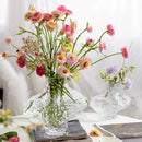DecorBites™ Nordic Frosting Glass Vase - Modern Home Decor