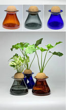 Deep blue nordic glass vase for living room hydroponic decor