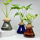 Deep blue nordic glass vase for living room hydroponic decor