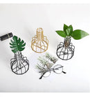 DecorBites™ Nordic Iron Golden Hydroponic Vase with Dried Flowers