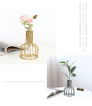 DecorBites™ Nordic Iron Golden Hydroponic Vase with Dried Flowers