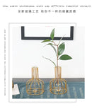 DecorBites™ Nordic Iron Golden Hydroponic Vase with Dried Flowers