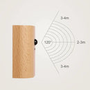 DecorBites™ Odin Motion Sensor Battery Operated Wall Sconce