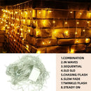 DecorBites™ Outdoor Christmas Waterfall Lights 5M Curtain String