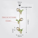 DecorBites™ Pendant Planter Light