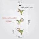 DecorBites™ Pendant Planter Light