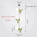DecorBites™ Pendant Planter Light