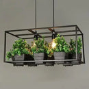 DecorBites™ Planter Light Chandelier