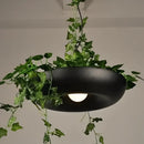 DecorBites™ Planter Pendant Lighting