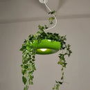 DecorBites™ Planter Pendant Lighting