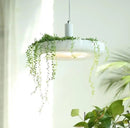 DecorBites™ Planter Pendant Lighting
