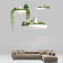 DecorBites™ Planter Pendant Lighting