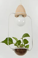 DecorBites™ Pot Pendant Planter Light