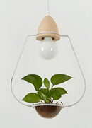 DecorBites™ Pot Pendant Planter Light