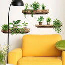 DecorBites™ Potted Plant Wall Decals - DIY Home Decoration
