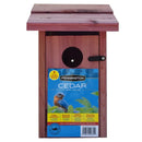 DecorBites™ Red Cedar Bluebird House with Mounting Pole
