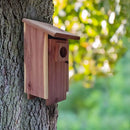 DecorBites™ Red Cedar Bluebird House with Mounting Pole