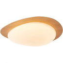 DecorBites™ Retro-Style Walnut Acrylic Ceiling Light