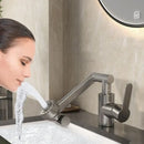 DecorBites™ Rotating Dual-mode Faucet for Kitchen and Bathroom