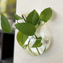 DecorBites™ Self-Watering Glass Terrarium Set for Home Décor