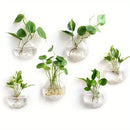 DecorBites™ Self-Watering Glass Terrarium Set for Home Décor