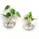 DecorBites™ Self-Watering Glass Terrarium Set for Home Décor