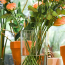 DecorBites™ Shatterproof Tall Transparent Acrylic Flower Vase