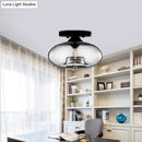 DecorBites™ Simple Style Glass Oval Flush Mount Lamp with 1 Light - Clear/Amber/Smoky Ceiling Fixture for Hallway