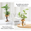 DecorBites™ Small Transparent Glass Vase for Home Decor