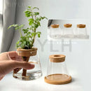 DecorBites™ Small Transparent Glass Vase for Home Decor