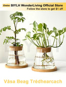 DecorBites™ Small Transparent Glass Vase for Home Decor