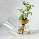 DecorBites™ Small Transparent Glass Vase for Home Decor