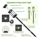 DecorBites™ Solar Lights Pack, Super Bright 12Hrs
