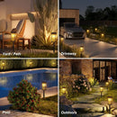 DecorBites™ Solar Lights Pack, Super Bright 12Hrs