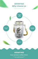 DecorBites™ Solar Mason Jar Fairy Lights for Garden Decoration