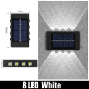 DecorBites™ Solar Outdoor Wall Lights for Garden Decor