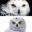 DecorBites™ Solar Owl Garden Light - Decorative, Waterproof LED
